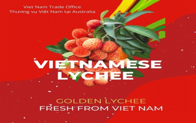 Thương mại điện tử xuyên biên giới chỉ mất 4 - 5 ngày đưa vải thiều Việt Nam đến với khách hàng Châu Âu